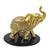 Elefante Decorativo Resina C/ Base De Espelho Indiano Sorte K200esp201