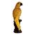 Escultura Decorativa Pássaro Arara Resina 21cm Dourado