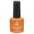 Esmalte Nail Polish 7.5ml Coleção B  D&ampZ D3249-B-13