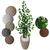 Ficus Verde Figueira Planta Artificial com Vaso Decorativo 3D Bege