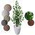 Ficus Verde Figueira Planta Artificial com Vaso Decorativo 3D Branco
