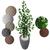 Ficus Verde Figueira Planta Artificial com Vaso Decorativo 3D Cinza