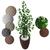 Ficus Verde Figueira Planta Artificial com Vaso Decorativo 3D Marrom