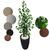 Ficus Verde Figueira Planta Artificial com Vaso Decorativo Coluna Preto
