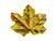 Folhas Canadenses Outonadas Maple Plátano Verde