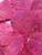 Folhas Moedas Secas Decorativas Para Pout Pourrit 30  Gramas rosa pink
