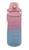 Garrafa 2 Litros Plastica Decorada Rosa e Azul
