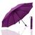 Guarda Chuva Grande Reforçado Cabe Na Bolsa Colorido Liso  1020 Violeta