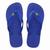 Havaianas Brasil Azul