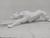 Imagem estatueta pantera 37cm em resina decoração Branco