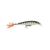 Isca Artificial Para Pesca Rapala X-rap Xr8 8cm 7gr Md