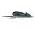 Isca Artificial Top Mouse Albatroz Fishing 6,5cm 20g 03