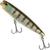 Isca Duo Realis Pencil 85 Realis, Bcc 3335