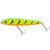 Isca OCL Control Minnow 100 Control minnow, Ft