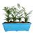 Jardineira Floreira 50cm De Plástico Para Plantas E Flores  Azul