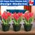Kit 03 Vasos Para Plantas Flores Quadrado 3,9L Decorativo Casa Jardim Verde