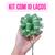 Kit 10 Laços Bola Prontos Presente Aniversário Mães Namorado LB8-Verde C/ VerdeClaro