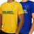 Kit 2 Camisas Brasil Estrela Penta - Masculino Azul, Amarelo