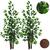 Kit 2 Planta Artificial Ficus Verde Sem Vaso Decoração Benjamina