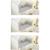  Kit 3 Lençol de Berço Avulso Americano em Malha com Elástico Antialérgico Menina ou Menino- 100% Algodão - 70 cm x 1,30 m x 12 cm Cinza