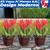 Kit 3 Vasos Para Plantas 9,6L Quadrado Decoração Casa Jardim Marrom