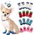 Kit 4 Meias Sapatinho Pet Antiderrapante Algodão Para Cachorro Gato Pequeno Porte LR-0305 Branco C/Azul (I love Dog)