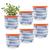 Kit 6 Vaso De Plantas Flores Redondo Decorativo Arranjo 1,3l Azul