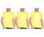 Kit com 3 Camisas Camisetas Blusas Baby Looks T-shirts Masculina Feminina Slim Básica 100% Algodão Camiseta amarela