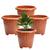 Kit com 4 Vasos de Chão Redondos Médios 9 Litros para Plantas e Jardins Terracota