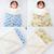 Kit de 2 Mantas Cobertor Bebê e Infantil para Menino com Sherpa 2