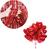 kit decoração 10 balão de coração + 1 un cortina metalizada Vermelho