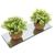 Kit decoração plantas artificiais decorativas com base em espelho vaso vasinho falsa flor  conjunto plantartPrem2x Prem2x7005vdc