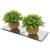 Kit decoração plantas artificiais decorativas com base em espelho vaso vasinho falsa flor  conjunto plantartPrem2x Prem2x7005vde