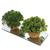 Kit decoração plantas artificiais decorativas com base em espelho vaso vasinho falsa flor  conjunto plantartPrem2x Prem2x7005vde2