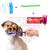Kit Higiene Gel Dental Para Cães E Gatos Com gel dental PET + 1 escovas + 2 escovas de dedo macho