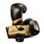 Kit Luva De Boxe E Muay Thai + Bandagem Pretorian Elite Dourado