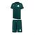 Kit palmeiras 1914 infantil Verde