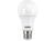 Lâmpada LED 9W 6500K Branca Taschibra Branco