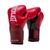 Luva de Boxe e Muay Thai Pro Style Elite V2 14OZ Everlast Vermelho com vermelho escuro