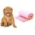 Mantinha Pet Cão e Gato Microfibra Soft Plush Varias cores Rose