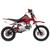 Mini Moto Off Road Pro Tork TR-100F Aro 14 X 12 Trilha Motocross Gasolina Pedal 4 Tempos 100CC Vermelho