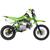 Mini Moto Off Road Pro Tork TR-125F Aro 14 X 12 Trilha Motocross Gasolina Pedal 4 Tempos 125CC Verde
