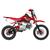 Mini Moto Off Road Pro Tork TR-125F Aro 14 X 12 Trilha Motocross Gasolina Pedal 4 Tempos 125CC Vermelho