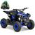 Mini Quadriciclo Eletrico Infantil Thor 1000w Mxf 30km/h Azul