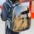 Mochila Pet Visão Panorâmica Astronauta Cachorro Gato Cão AZUL