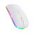 Mouse Sem Fio Led RGB Bluetooth Gamer 2.4GHz Branco