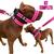 O melhor kit Para Cachorro Coleira Peitoral Focinheira Pet Pitbull Golden Pastor Alemão Rottweiler Rosa