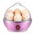 Ovos Legumes Cozidos Egg Cooker Cozedor Elétrico 14 Ovos Rosa