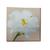 Pacote Guardanapo para Decoupage com 20 folhas White Tulip