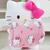 Pelúcia com Manta Coral Fleece Turma da Hello Kitty 100x75cm Hello kitty pink